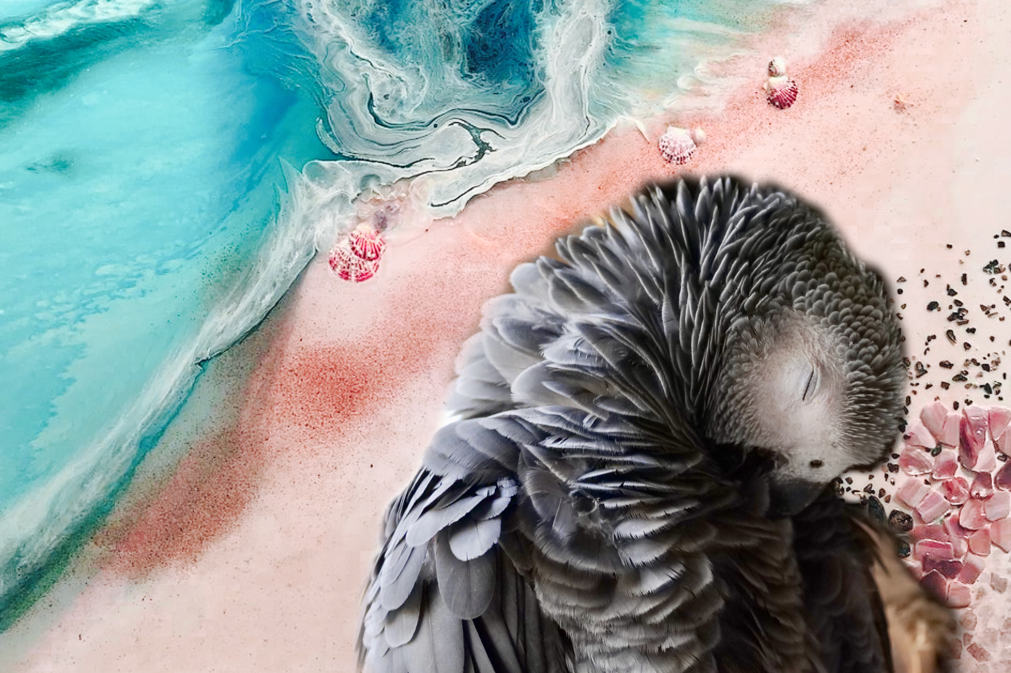 Ocean Bird. Teal and Pink. Pink Gallah Parrot. Art Print Antuanelle 3 Bird Artwork. Limited Edition