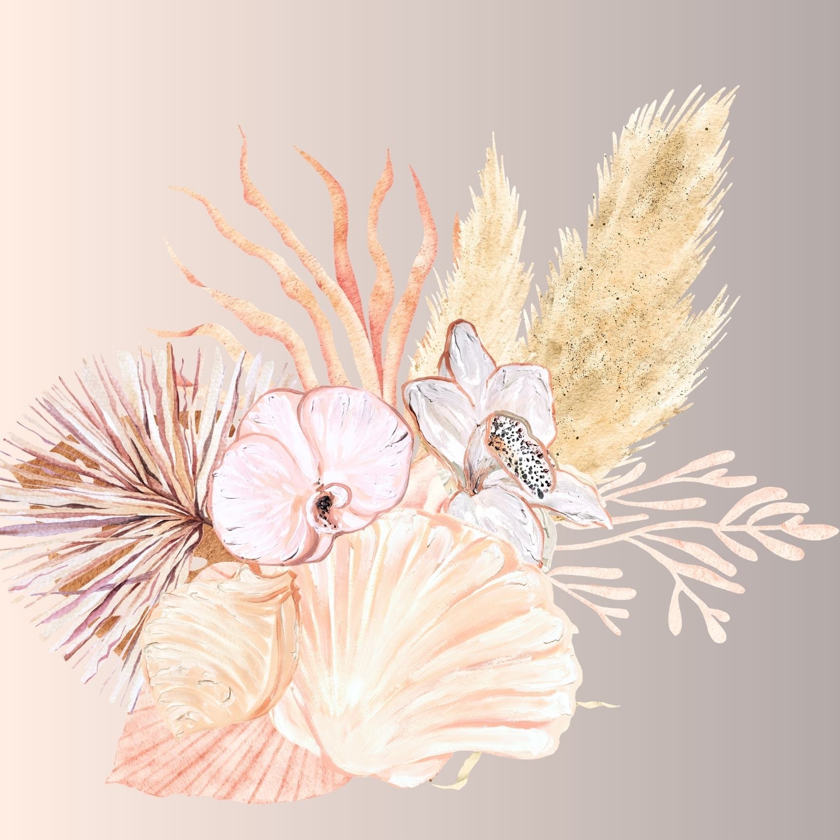 Seashells and Orchids 2