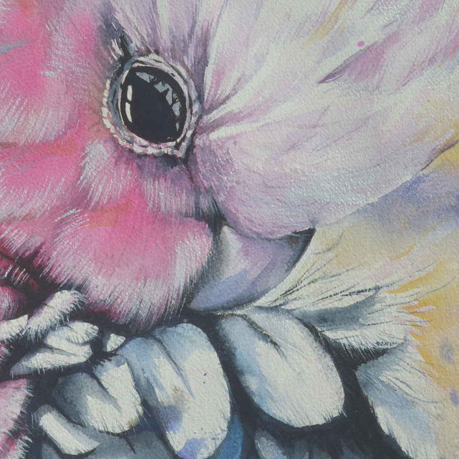 Bird Watercolor. Pink Galah Parrot. Art Print. Antuanelle 5 Parrot Artwork. Limited Edition Print