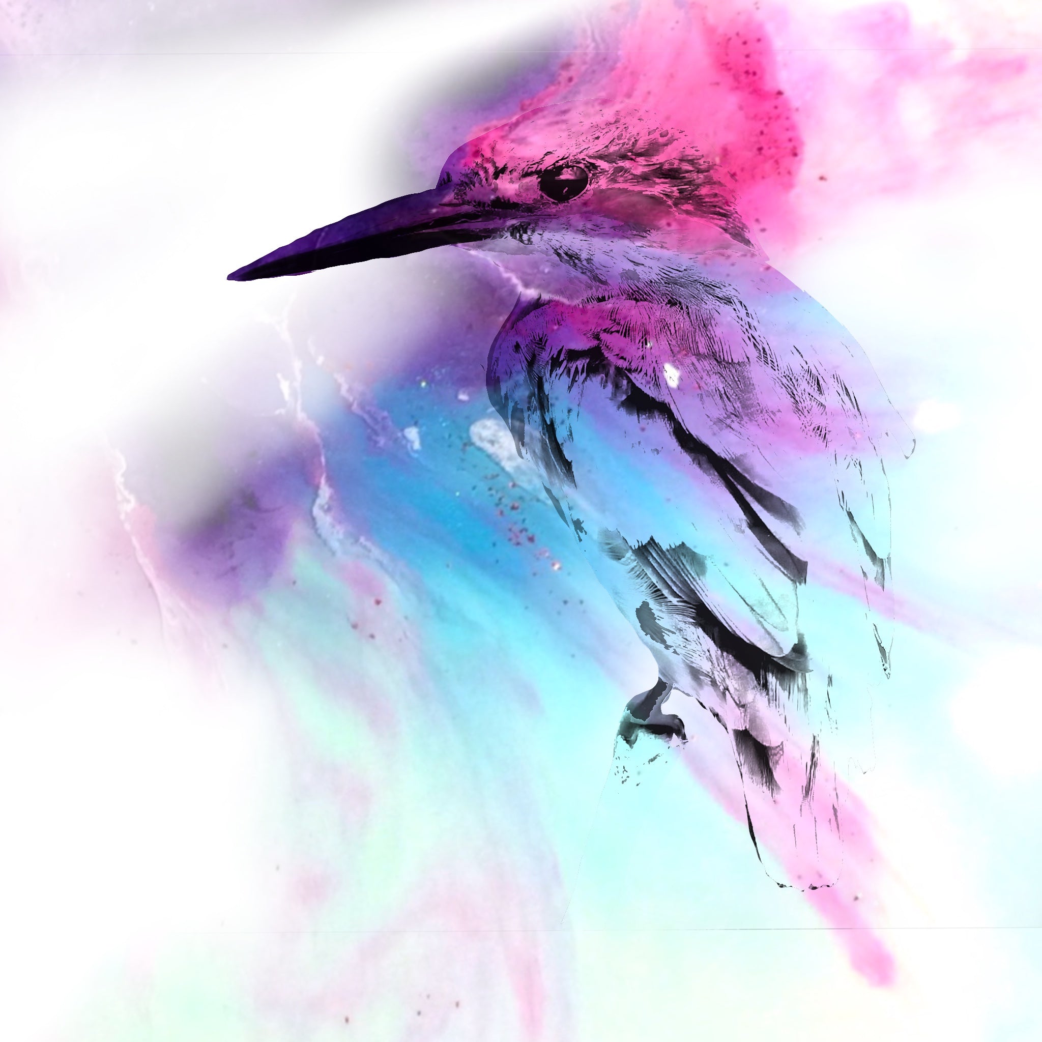 Abstract Colourful bird. Pink Blue Birdie. Art Print. Antuanelle 1 and Limited Edition Print