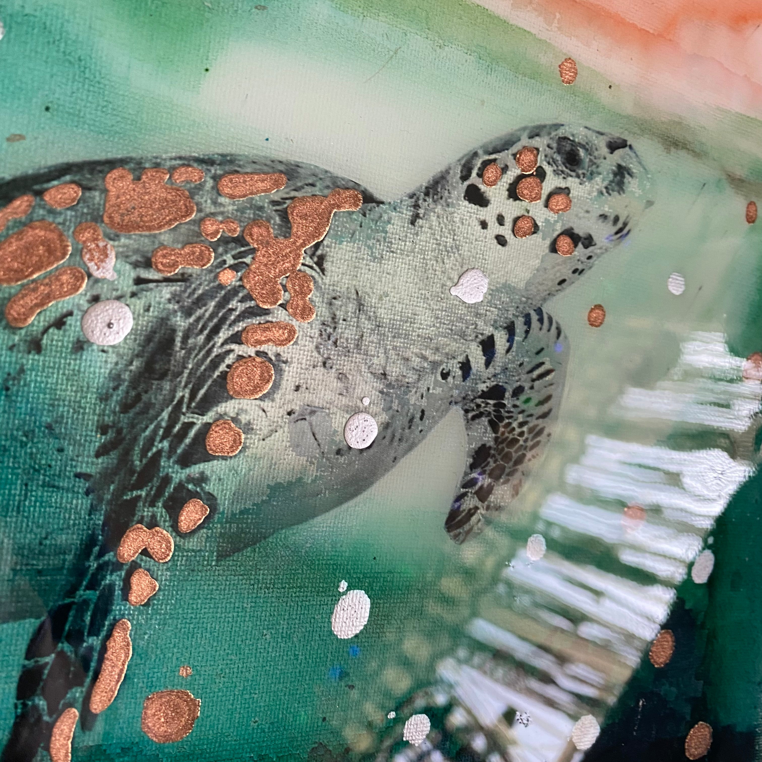Close to Extinction Bright set of 4 - Ocean Turtle Cicada Original Art- Gallery Wall