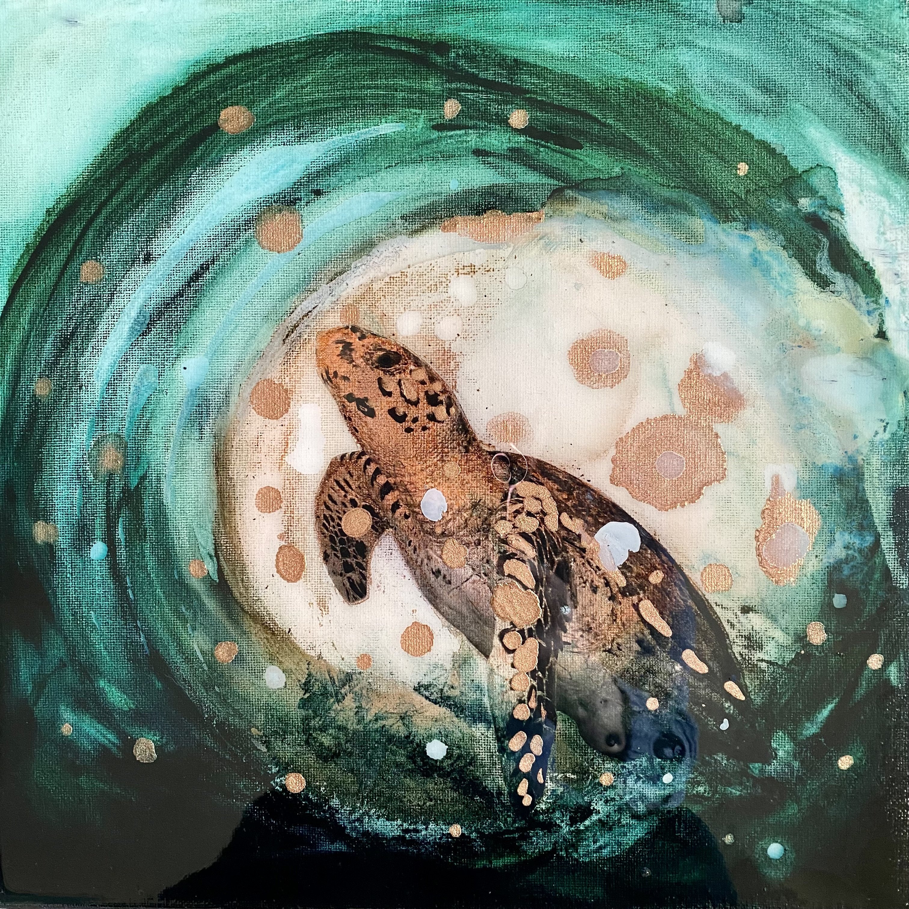 Close to Extinction Bright set of 4 - Ocean Turtle Cicada Art- Gallery Wall