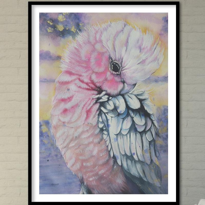 Bird Watercolor. Pink Galah Parrot. Art Print. Antuanelle 1 Parrot Artwork. Limited Edition Print
