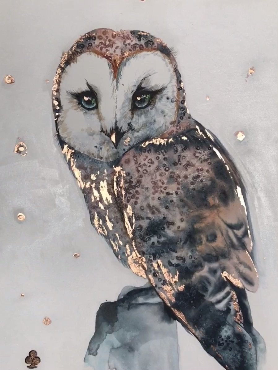 OWL Artwork